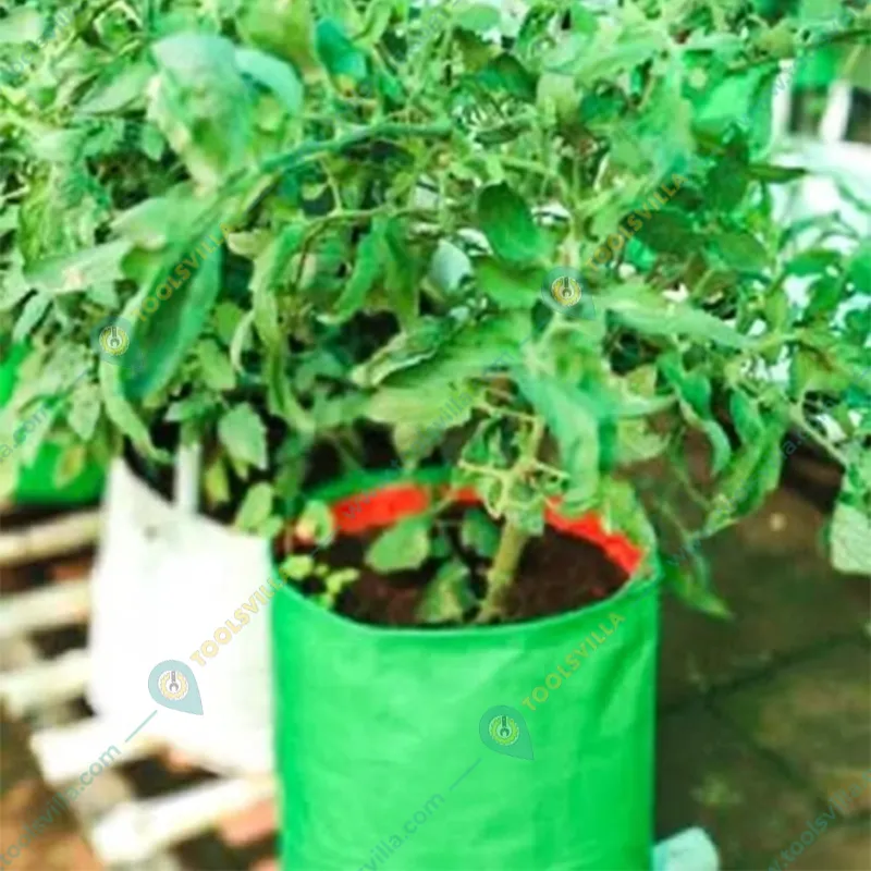 Siddhi 350 GSM 18 x 18 inch HDPE Grow Bag for Garden, Nursery (Pack of 100 pieces)