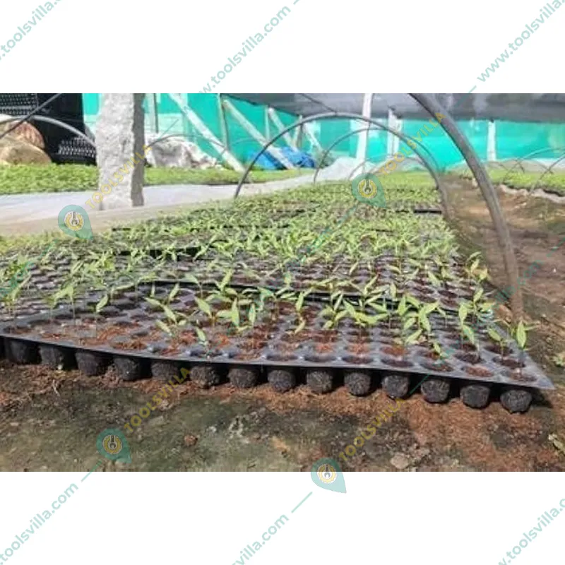 Siddhi 10 Cavities (Round Shape) Reusable Plastic Seedling Tray for Nursery and Gardening (Pack of 100 pieces)