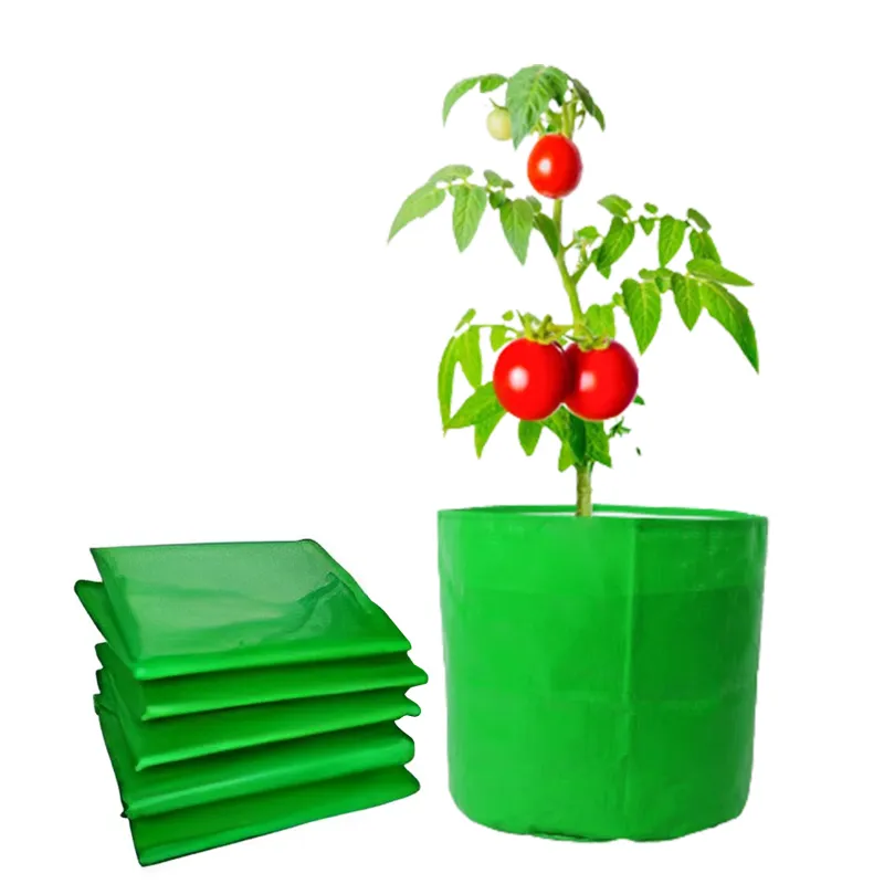 Siddhi 350 GSM 12 x 12 inch HDPE Grow Bag for Garden, Nursery (Pack of 100 pieces)