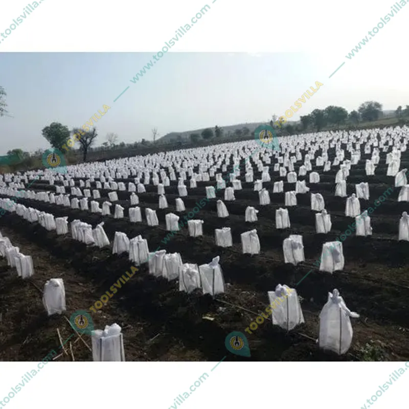 High Quality 17 GSM 200 meter x 10 inch Fruit Protection Cover