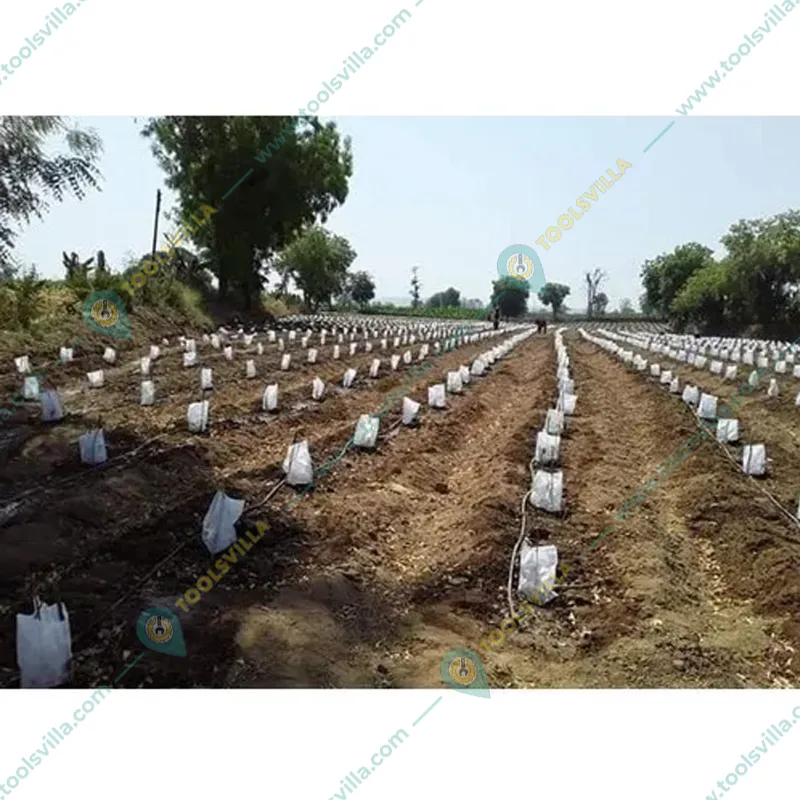 High Quality 17 GSM 200 meter x 10 inch Fruit Protection Cover
