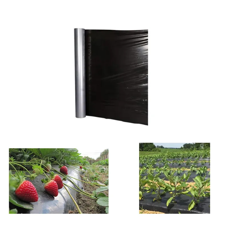 Vihaan 18 Micron Silver/Black Agricultural Mulching Sheet, Mulch Film For Musk Melon & Watermelon(Size-3.25 feet x 400 meters)