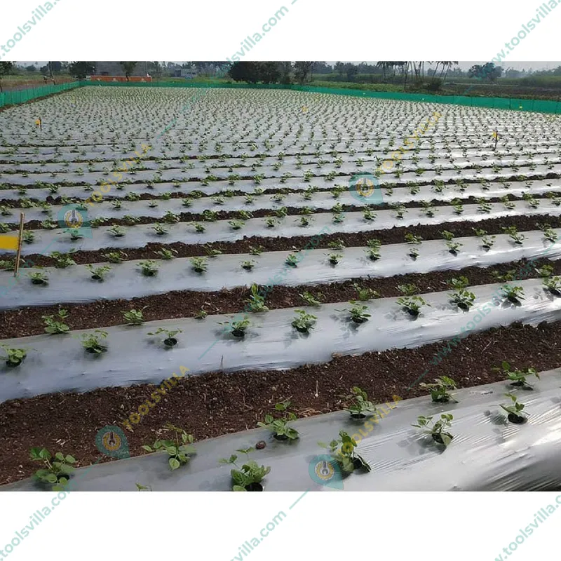 Vihaan 18 Micron Silver/Black Agricultural Mulching Sheet, Mulch Film For Musk Melon & Watermelon(Size-3.25 feet x 400 meters)