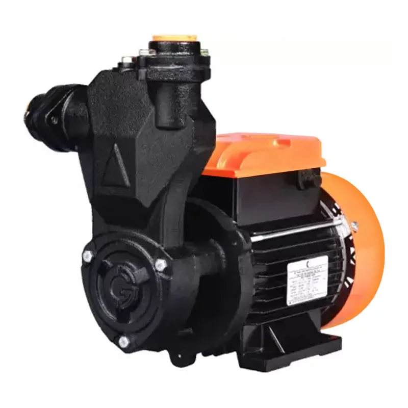 CG Power 1 HP 1Phase Copper Winding Self Priming Monoblock Pump, 25X25mm (MiniMAESTRO-I) - 2 Years Warranty