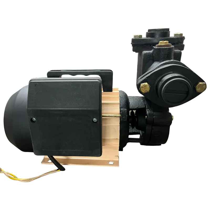 Heavy Duty 1Hp Single Phase Copper Winding Self-Priming Monoblock Pump, 34m Head, 25x25mm - 1 Year Warranty