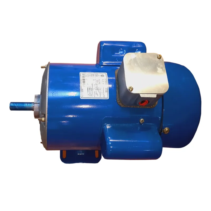 HKI 1 HP 4 Pole Single Phase Foot Mounted AC Motor, 1440 RPM (HKI 6566) - 1 Year Warranty