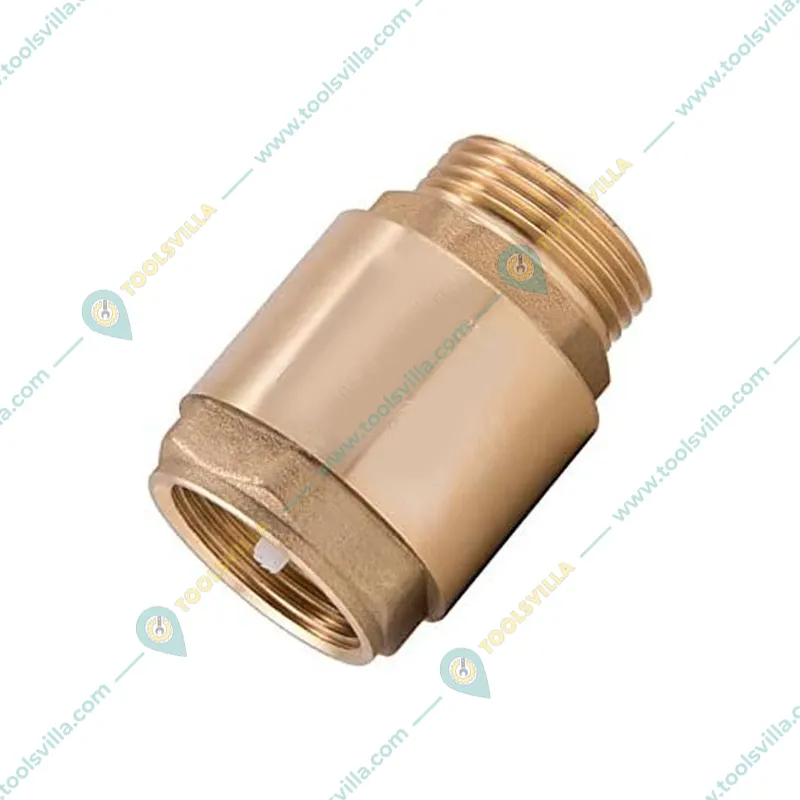 Premium Quality 1 inch Brass NRV Valve 