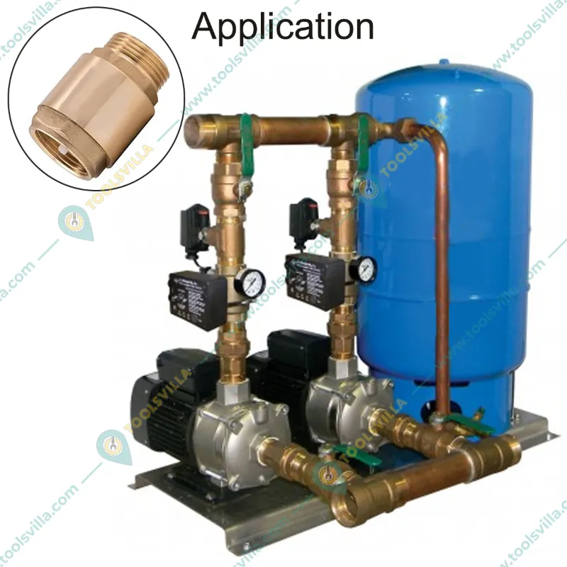 Premium Quality 1 inch Brass NRV Valve 