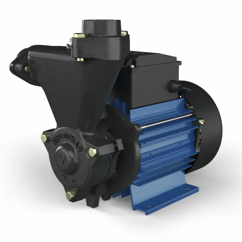 Kirloskar 1Hp Single Phase Self Priming Monoblock Pump, 24m Max. Head, 25x25mm (ANNIKA - I) - 1 Year Warranty 