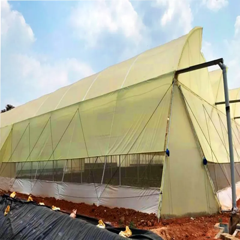 High Quality 205N 200 micron, 5 layers Sun Cover | Suitable for Agriculture and Gardening(Size-9 meter x 10 meter)