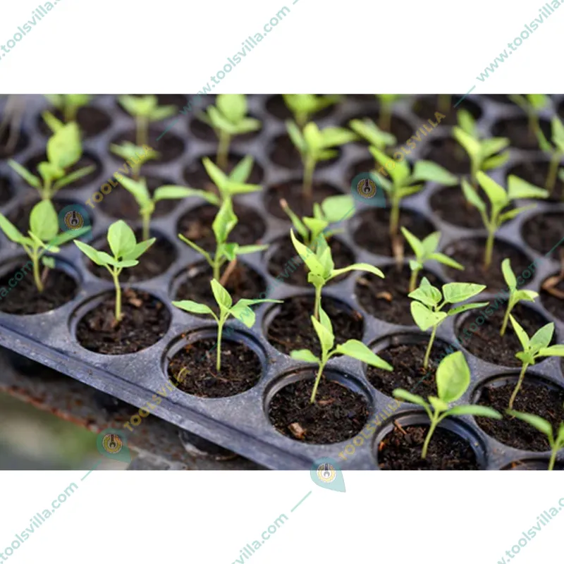 Siddhi 126 Cavities (Round Shape) Reusable Plastic Seedling Tray for Nursery and Gardening (Pack of 200 pieces)