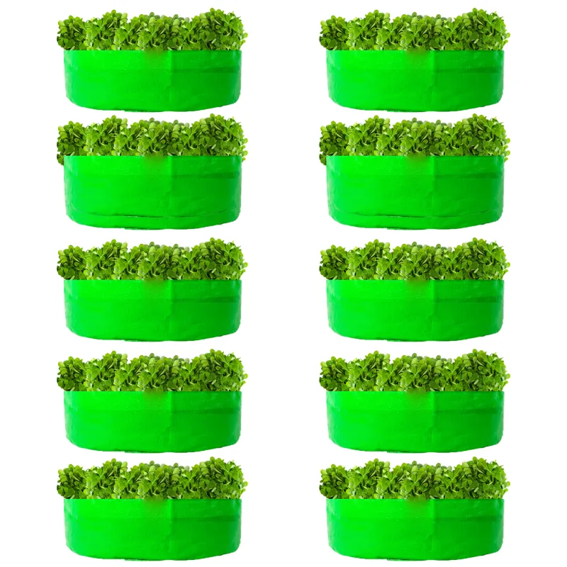 Shiv Biotech 250 GSM 10 pieces HDPE Round Shape Reusable Grow Bag | Suitable for Gardening and Nursery(Size-15 x 6 inch)