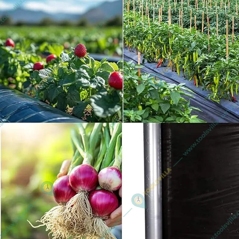 High Quality 25 micron, 1 meter x 1200 feet  Black and Silver Mulching Sheet for Agriculture, Garden, and Nursery