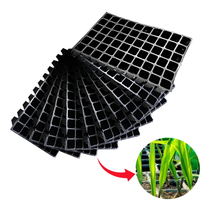 Siddhi 60 Cavities (Square Shape) Reusable Plastic Seedling Tray for Nursery and Gardening (Pack of 25 pieces)