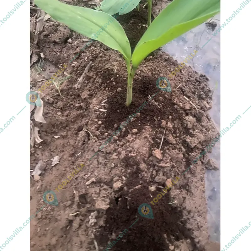 Jagdish Organics 2 Pieces of Vermicompost Weighing 5 Kg each
