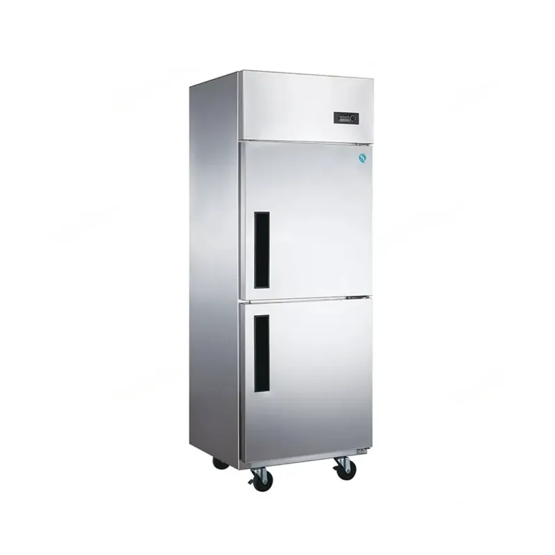 600 BTMC / GN 650 BTM - 2 SS Doors Reach in Freezer/Chiller/Refrigerator, 600 Litre Capacity 