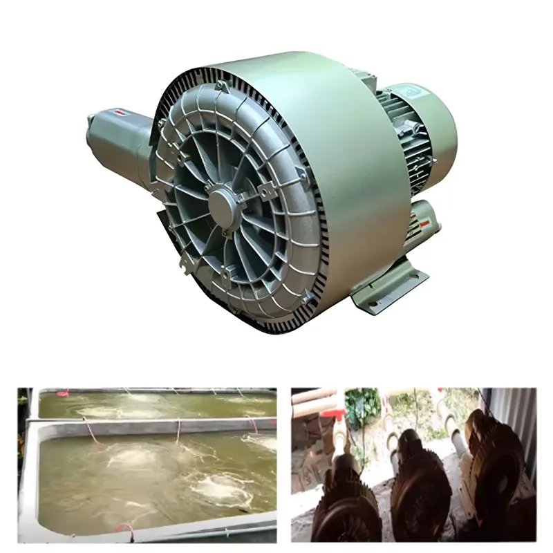 3 HP Double Stage Turbine Blower 5 6 Motor