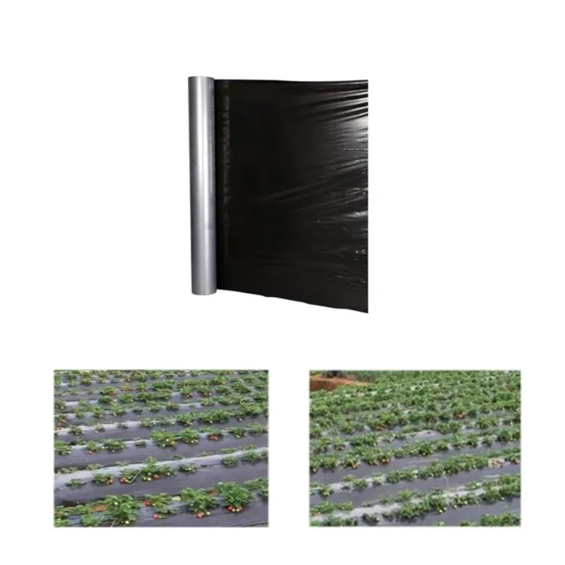 Vihaan 30 Micron Silver/Black Agricultural Mulching Sheet, Mulch Film  With 5 Months Warranty(Size-3.25 feet x 400 meters)
