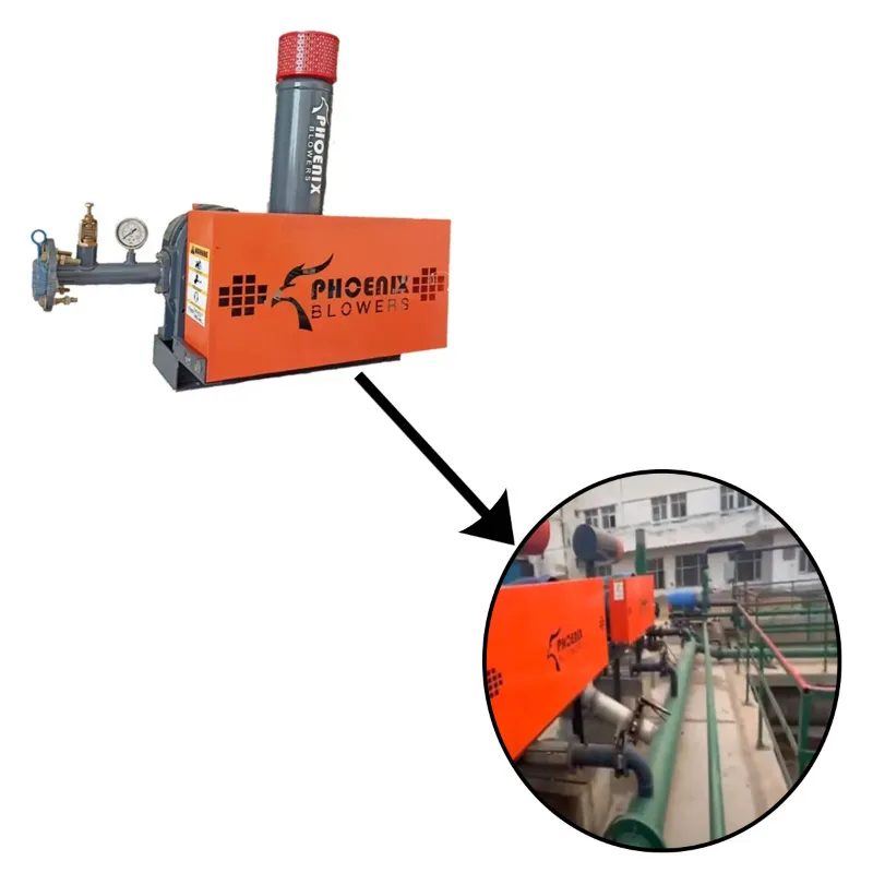Phoenix 1.5 HP 3 Phase Aquaculture Blower for Biofloc/Fish Farming Roots Blowers/Electroplating Blower With Lubi Motor
