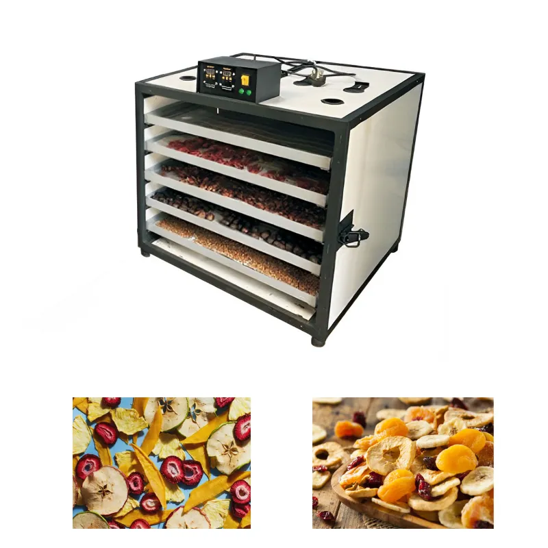 Premium Quality 5 Tray Food Dryer, 700W