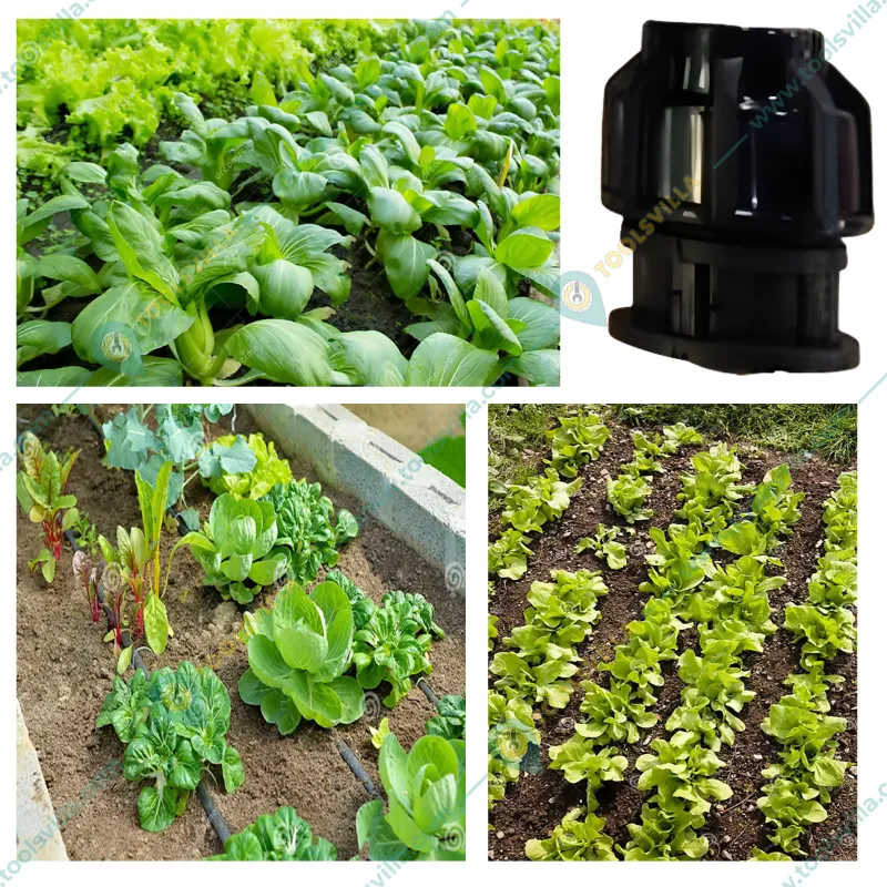 50 mm Comp End Cap for Irrigation (Pack of 5 Pcs)