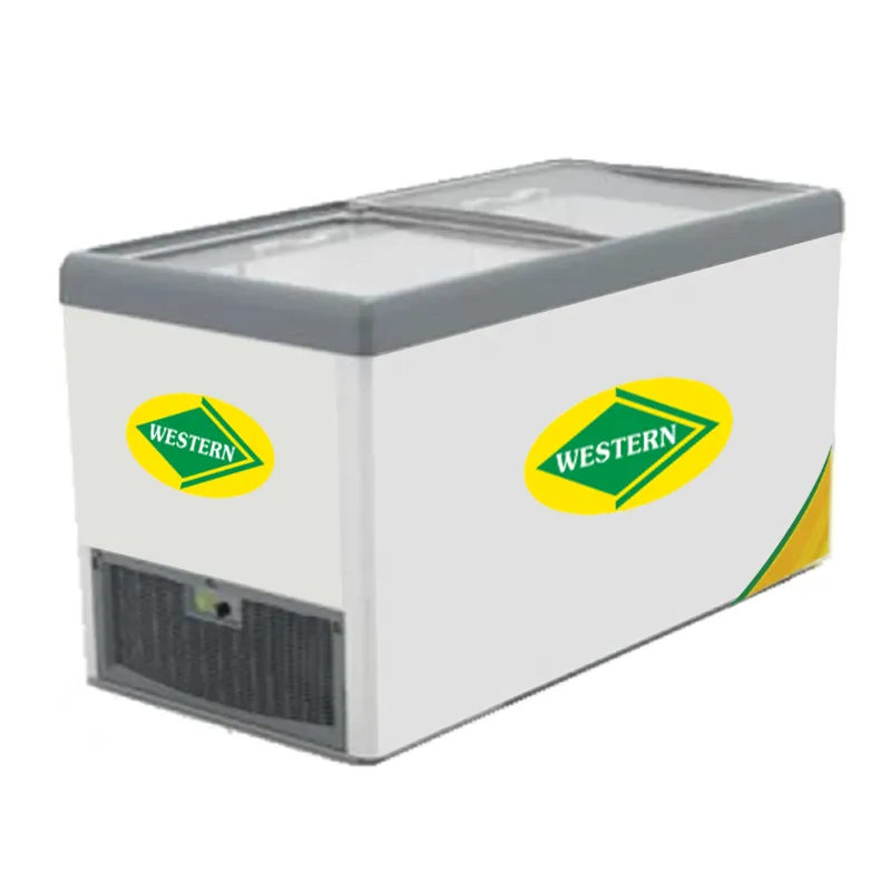 WESTERN F550GL25 536 L Double Door Top Deep Freezer, Glass Doors