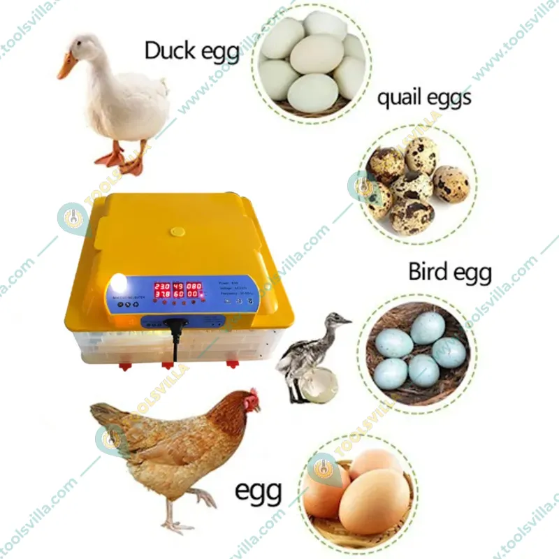 Automatic 56 Eggs Capacity Incubator with Egg Turner Tray