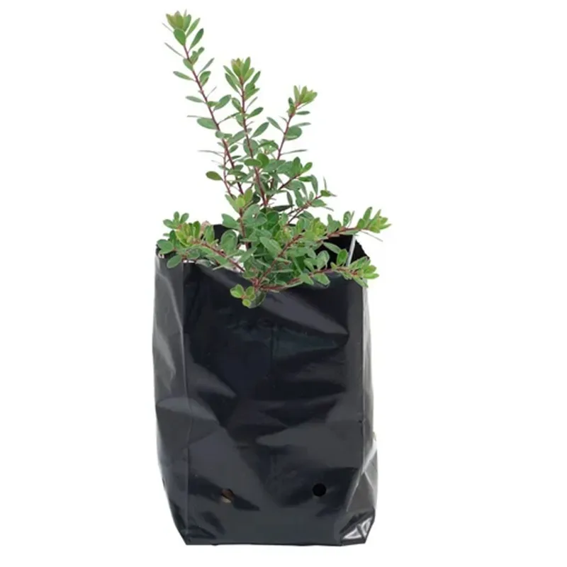 High Quality 51 micron UV Protected 5 inch x 7 inch Round Shape Black Grow Bag | Suitable for Gardening Purposes(Pack-100 Pcs)