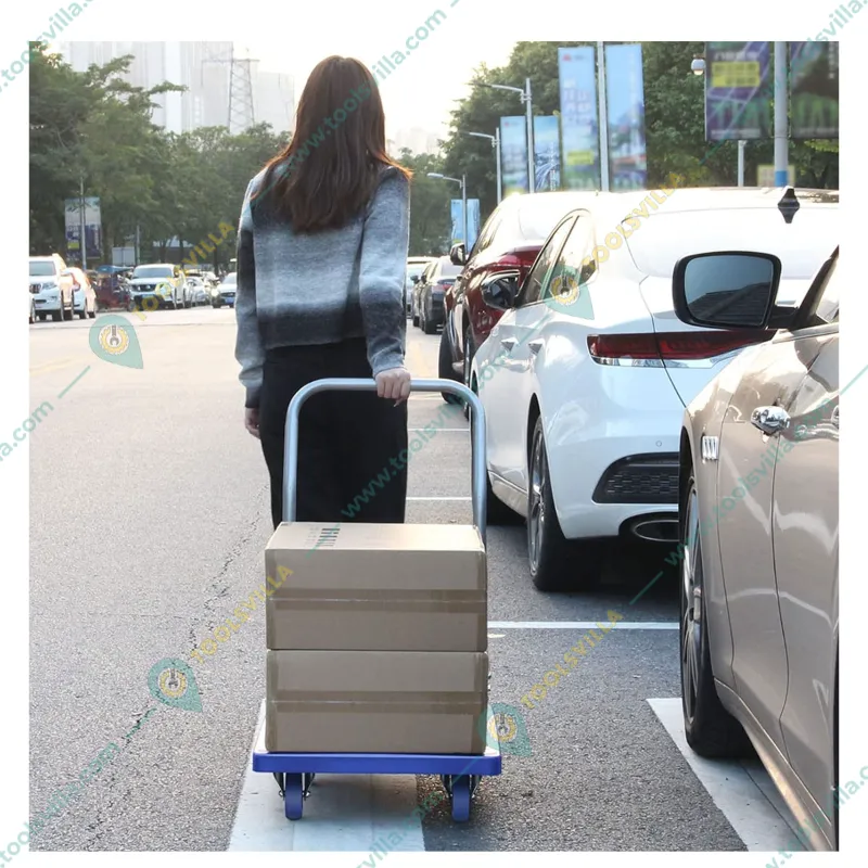 Big Apple 600 Kg Load Capacity 105 x 63 cm Platform Trolley (TRL-SPH-PL-600)