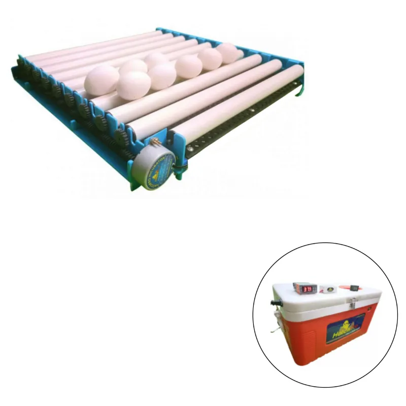 70 Eggs Automatic Egg Turning Tray With Motor For Egg Incubator