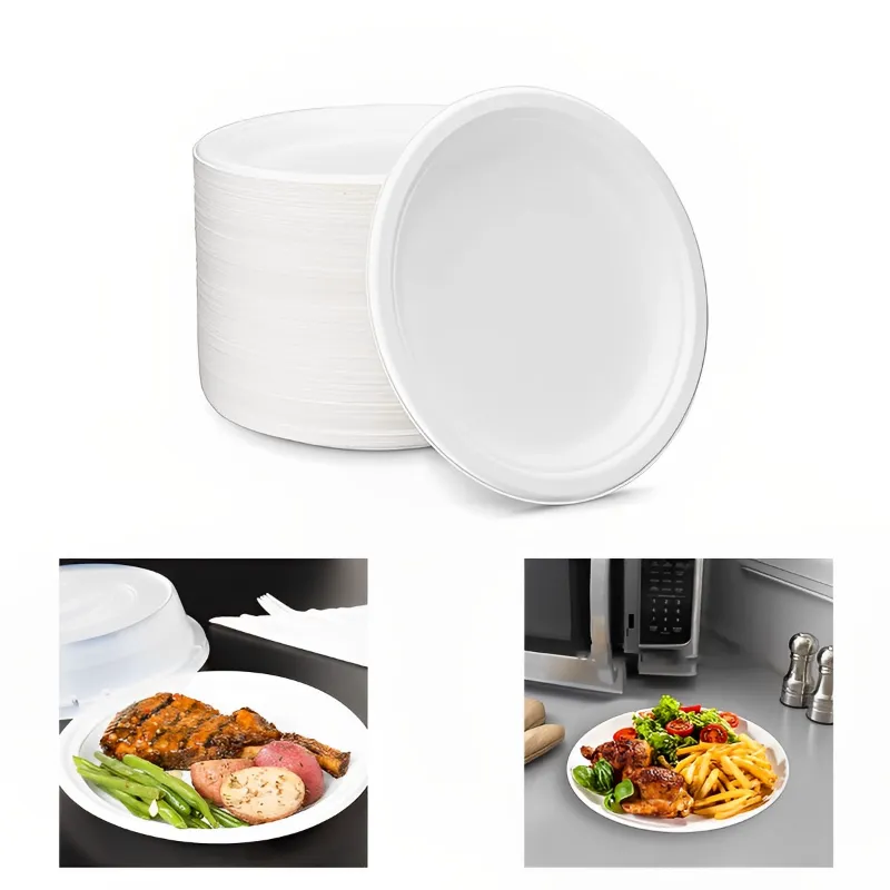 Disposable Round Plates (Pack of 50)