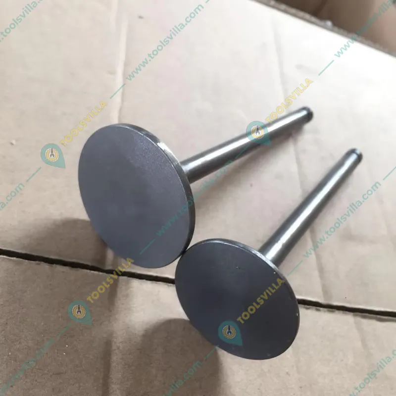 Intake/Exhaust Valve, For 4 stroke 5 HP - 7 HP (173F)  Diesel Power Tiller / Cultivator, 173F-004