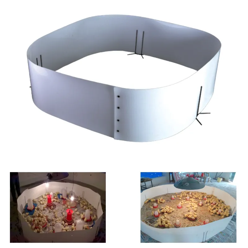 Poultry Chick Round Guard For Brooding, 800 Birds Capacity