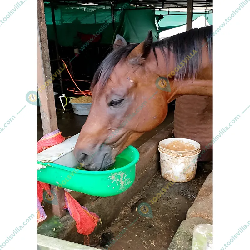 Water Drinking Bowl 10 Litre for Cow, Horse, Goat