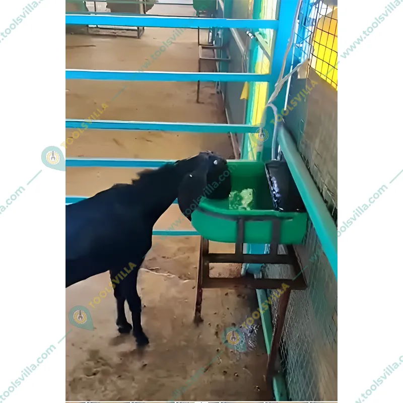 Water Drinking Bowl 10 Litre for Cow, Horse, Goat