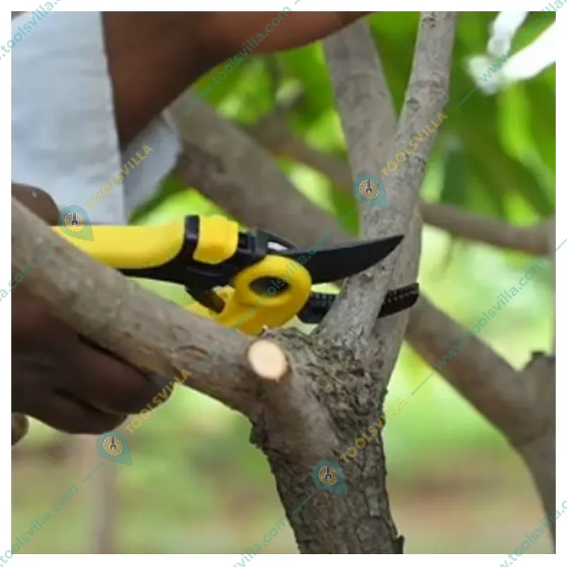 Hectare Precision Garden Anvil Pruner | Secateur | Plant Cutter with 20 mm Cutting Diameter for Home Garden