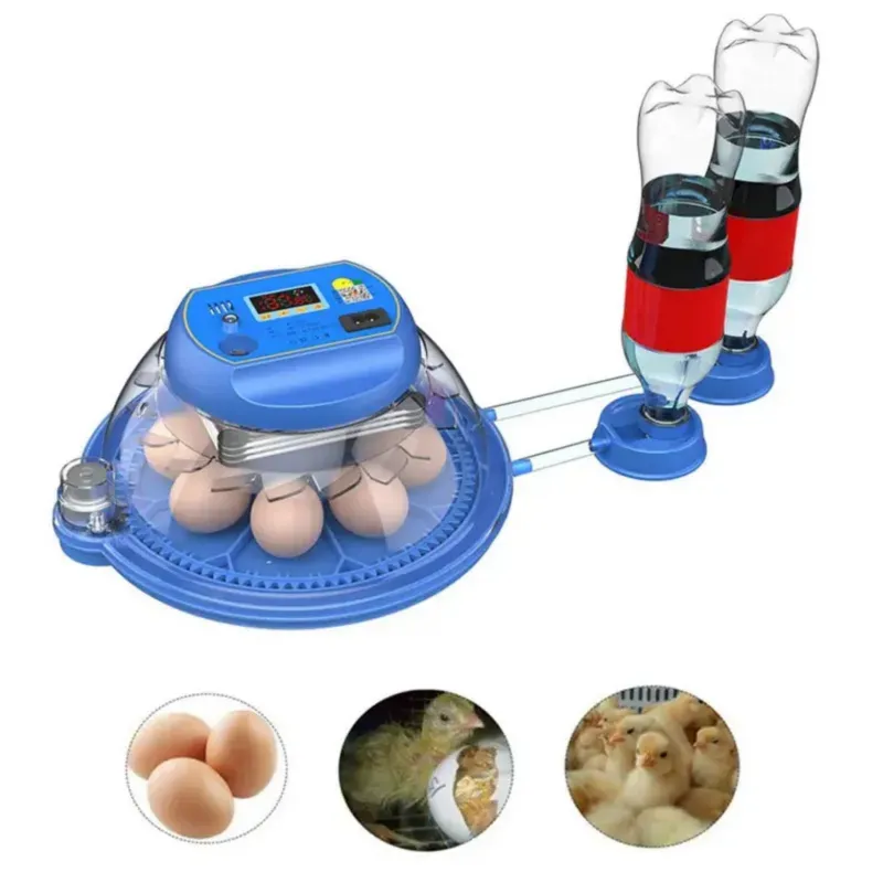 8 Eggs Automatic Egg Incubator for Egg Hatching