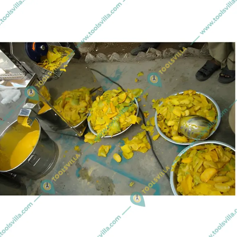 Commercial 2 HP 400 Kg/Hour Mango Pulp Machine 