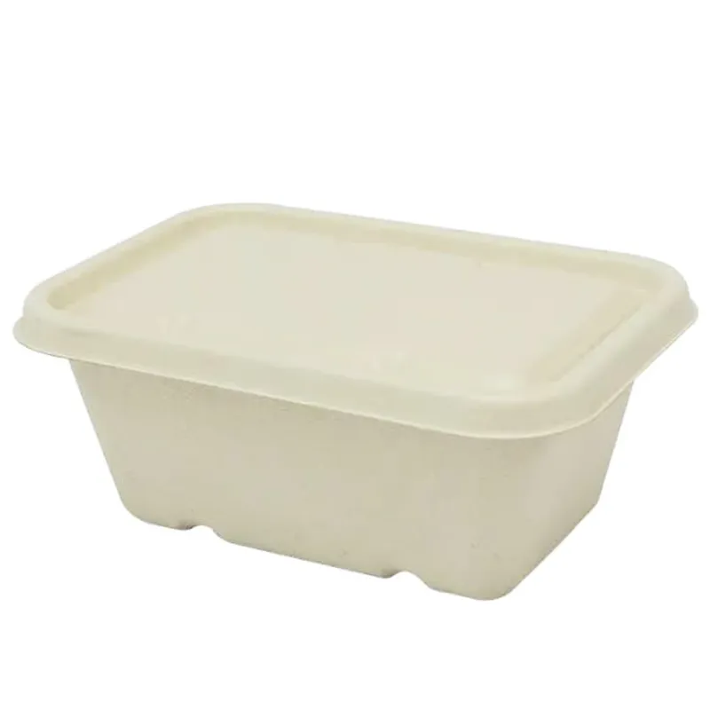 50pcs, 500 ml Bagasse Biodegradable Container with Lids