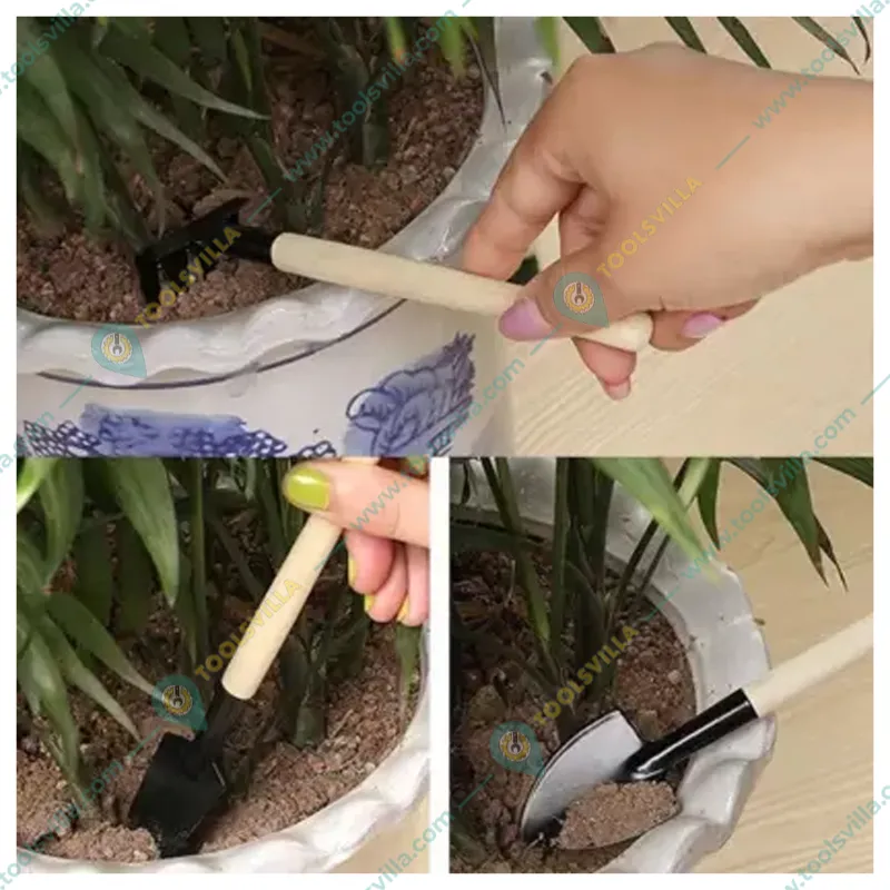Bonsai Tool Kit For Garden set of 3 Pcs (Trowel, Shovel and Rake)