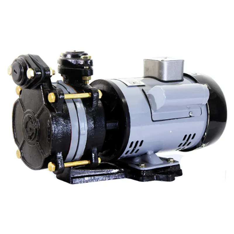 CG Power 1 HP Single Phase Slow speed Self Priming Pump (CGDMB10DX) - 1 Year Warranty