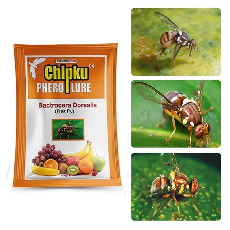 10 pcs Chipku Fruit Fly Lure for all Fruit crops