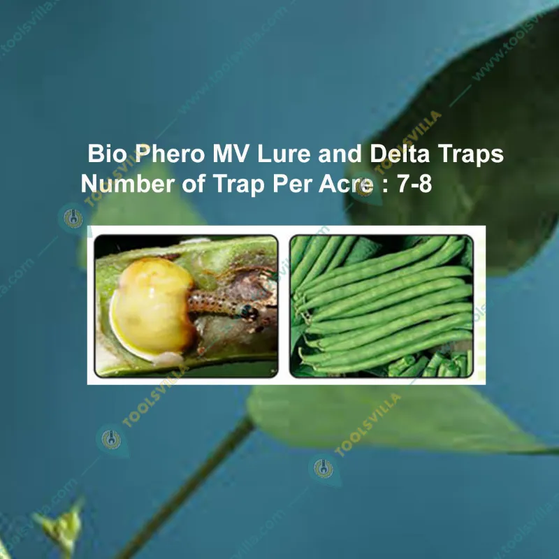 Sonkul Agro Combo Pack of Bio Phero MV - Maruca Vitrata (Legume Pod Borer) 10 Lures & 10 Delta Traps