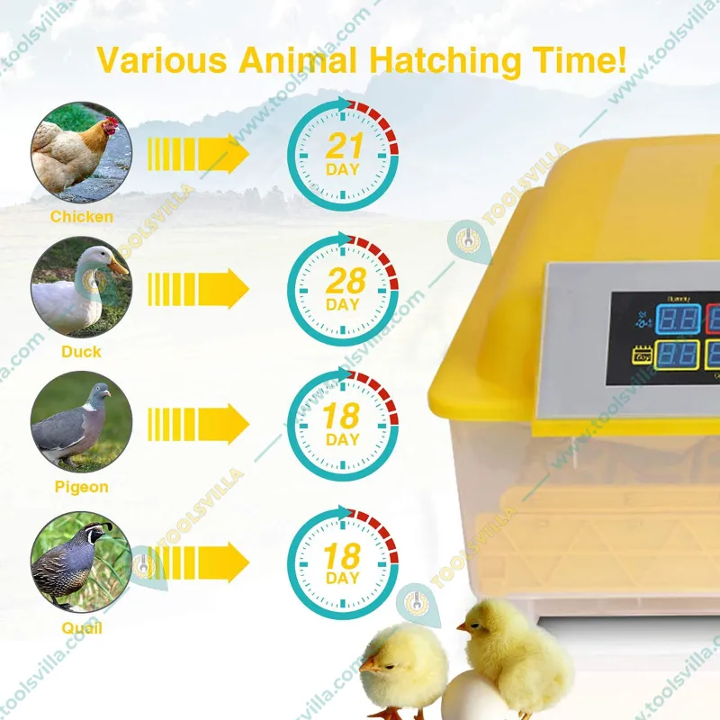 Commercial Egg Incubator with Egg Turner Tray, 48 Eggs Capacity
