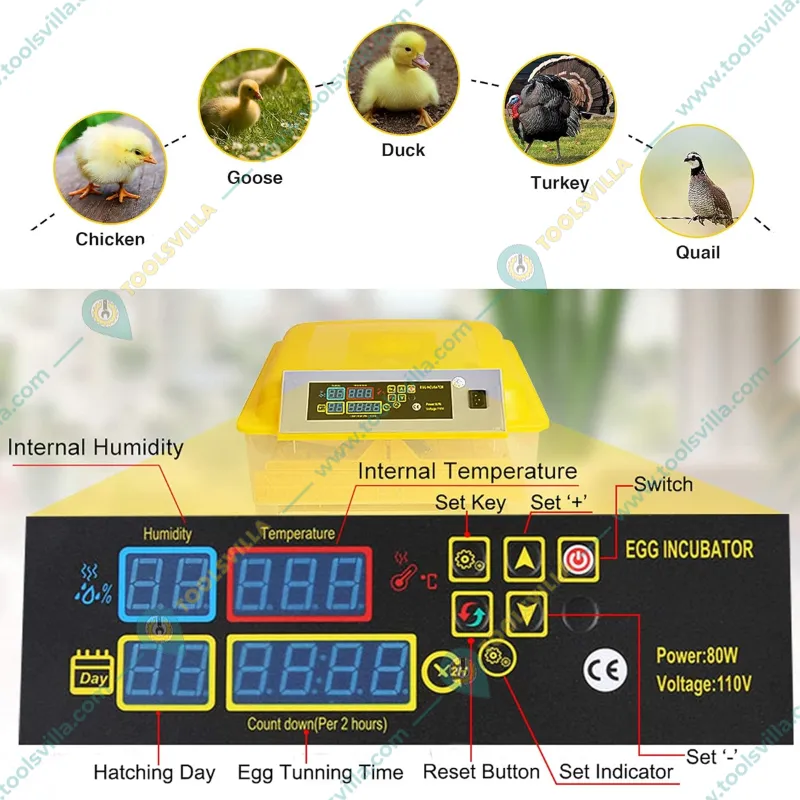 Commercial Egg Incubator with Egg Turner Tray, 48 Eggs Capacity