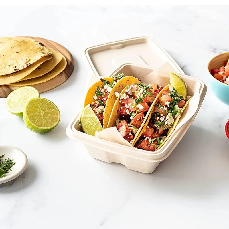 650ml Bagasse Rectangular Zume Container With Lid, 100% Anti-Leak Technology for Food Delivery, Take Away Meals