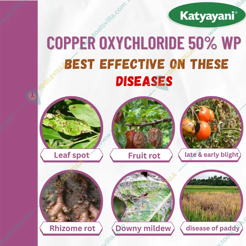 Katyayani COC 50 WP 50% Copper Oxychloride Chemical fungicide for Tea Plant, Brinjal, Potato, Tomato, fruits etc.(Pack-2 x 450 gm)