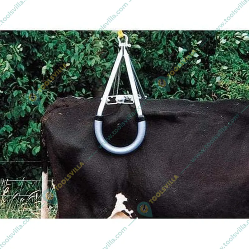Mild Steel Cow Lifting Frame
