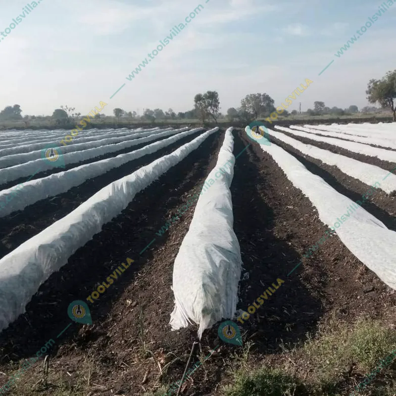 High Quality 3.2 x 625 meter Crop Protection Cover | Ideal for Agricultural and Gardening Purposes(GSM-17)