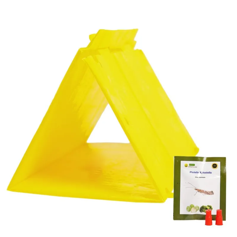 WAVAR Delta Trap with Plutella Xylostella